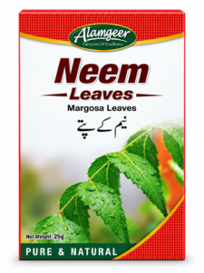 Neem Leaves